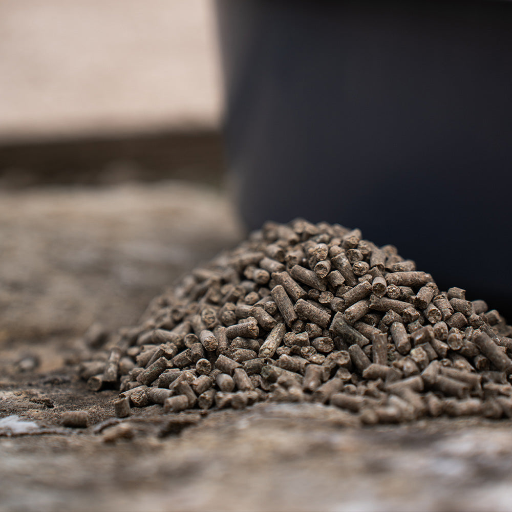 Fundamentalis - Basisfutter [PELLETFORM]