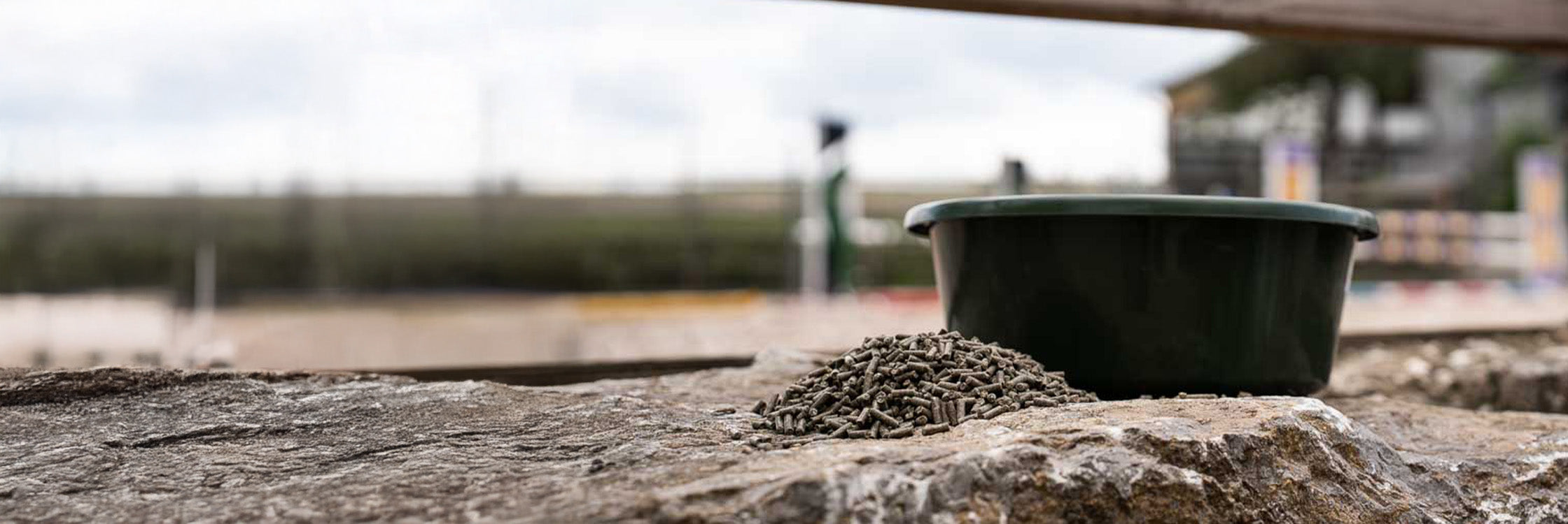 Natürliche Premium-Ergänzungen für ein ausgeglichenes Pferd - NutraStable