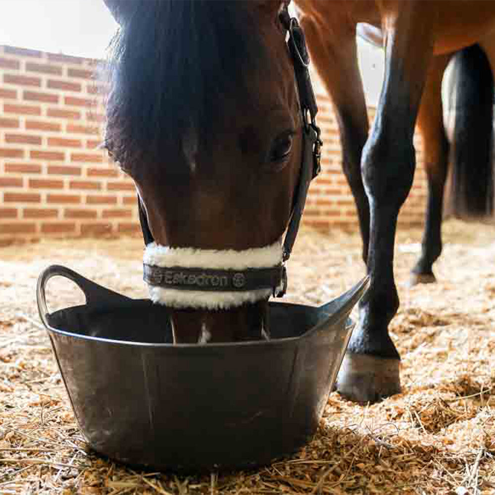 Willkommen bei NutraStable
Premium-Ergänzungsfuttermittel für Pferde – entwickelt aus Leidenschaft, Wissen und Verantwortung.