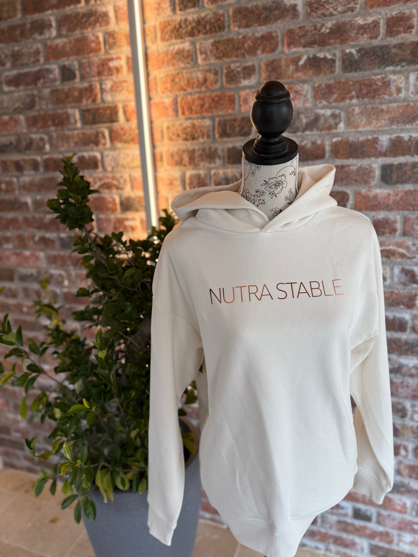Noah Hoodie Natur - NutraStable