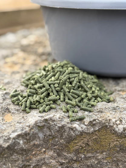 Level up - Muskelfutter [PELLETFORM]