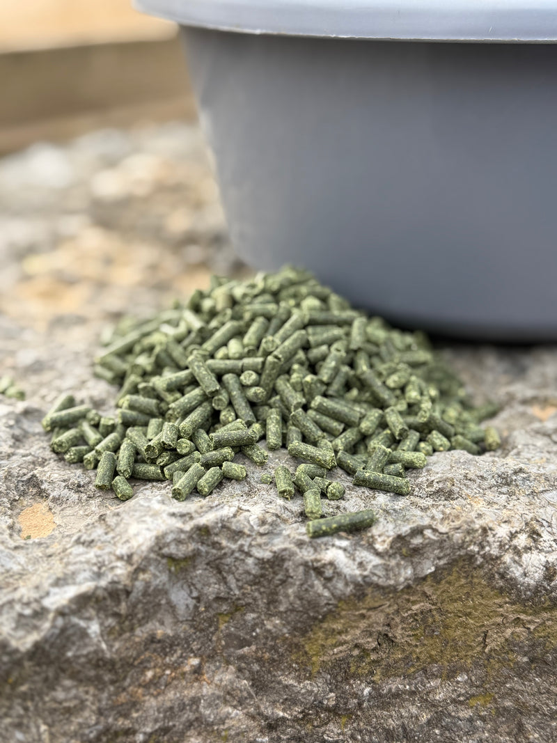 Level up - Muskelfutter [PELLETFORM] - nutrastable