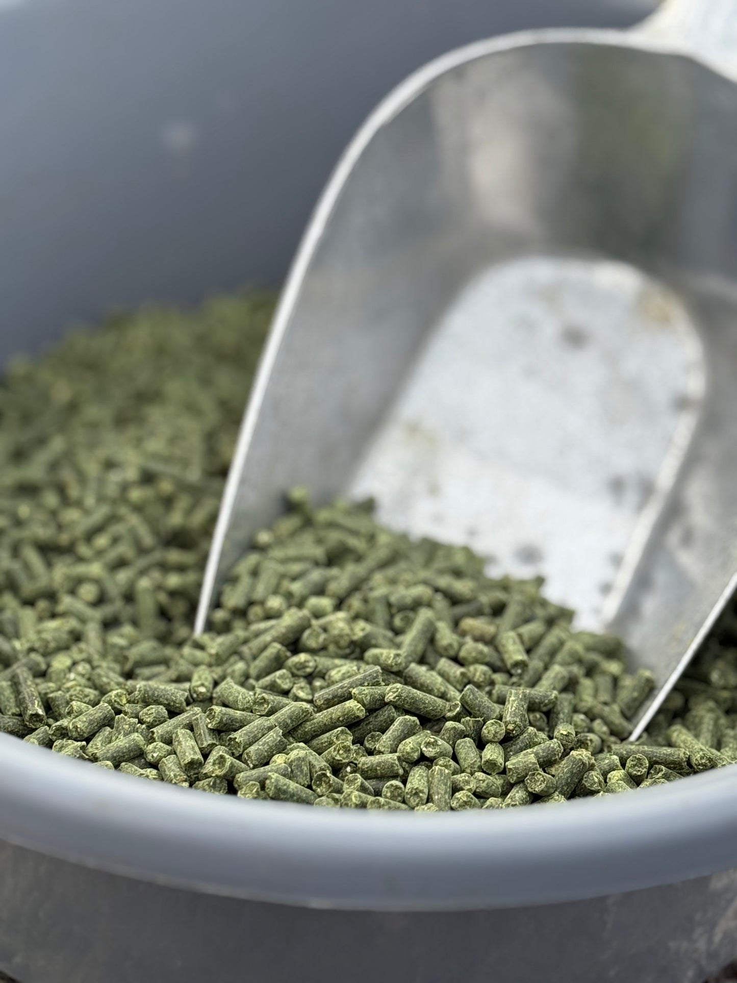 Level up - Muskelfutter [PELLETFORM]