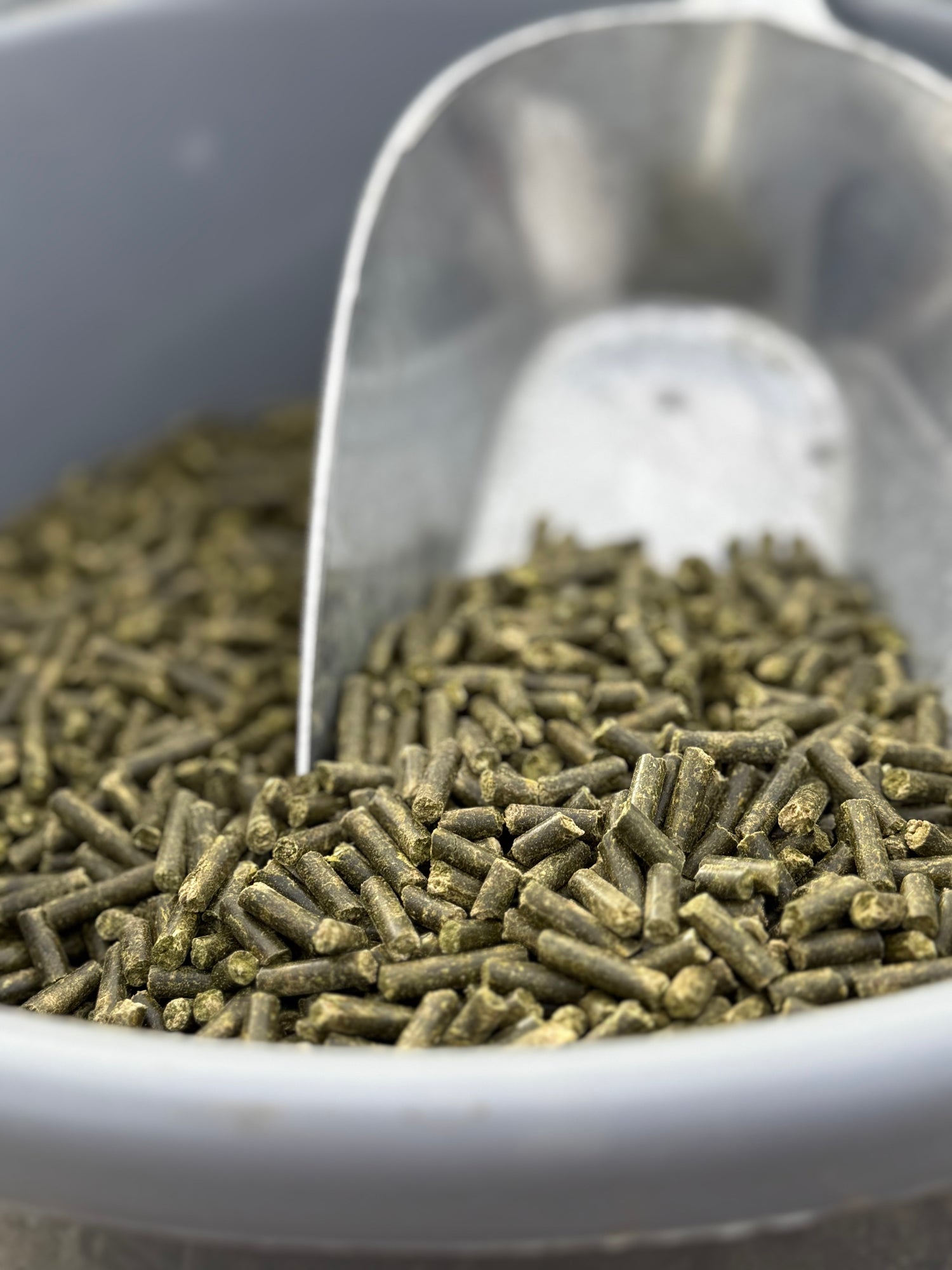 Feel good - Magen-Darm-Futter [PELLETFORM] - nutrastable