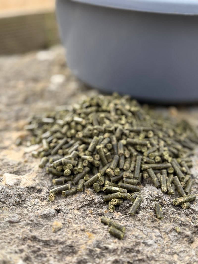 Feel good - Magen-Darm-Futter [PELLETFORM] - nutrastable