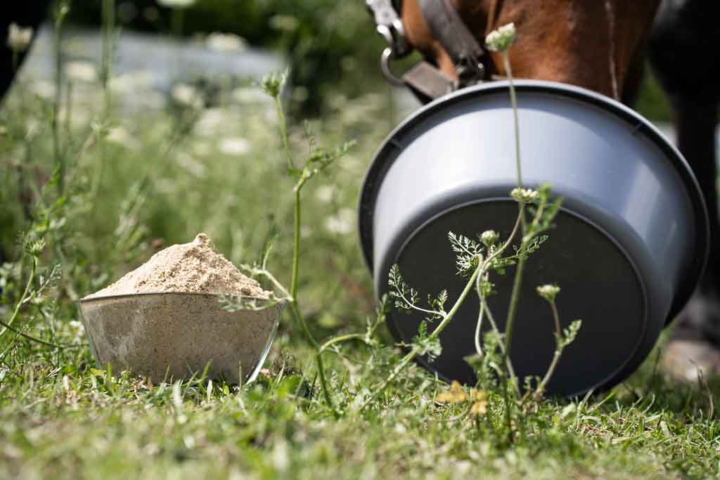 Warum so viele Pülverchen bei deinem Pferd einfach nicht wirken