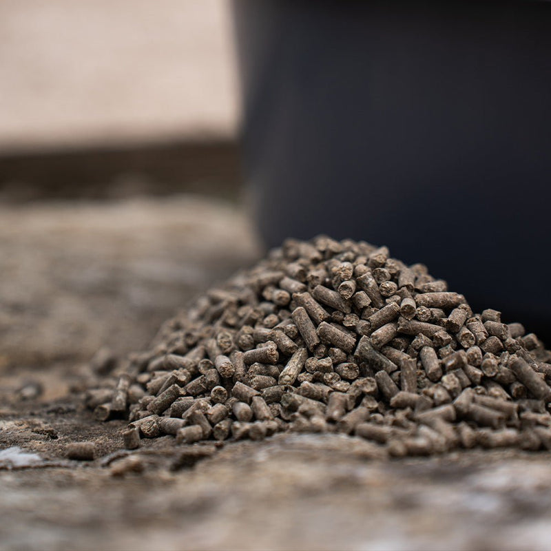 Fundamentalis - Basisfutter [PELLETFORM] - nutrastable