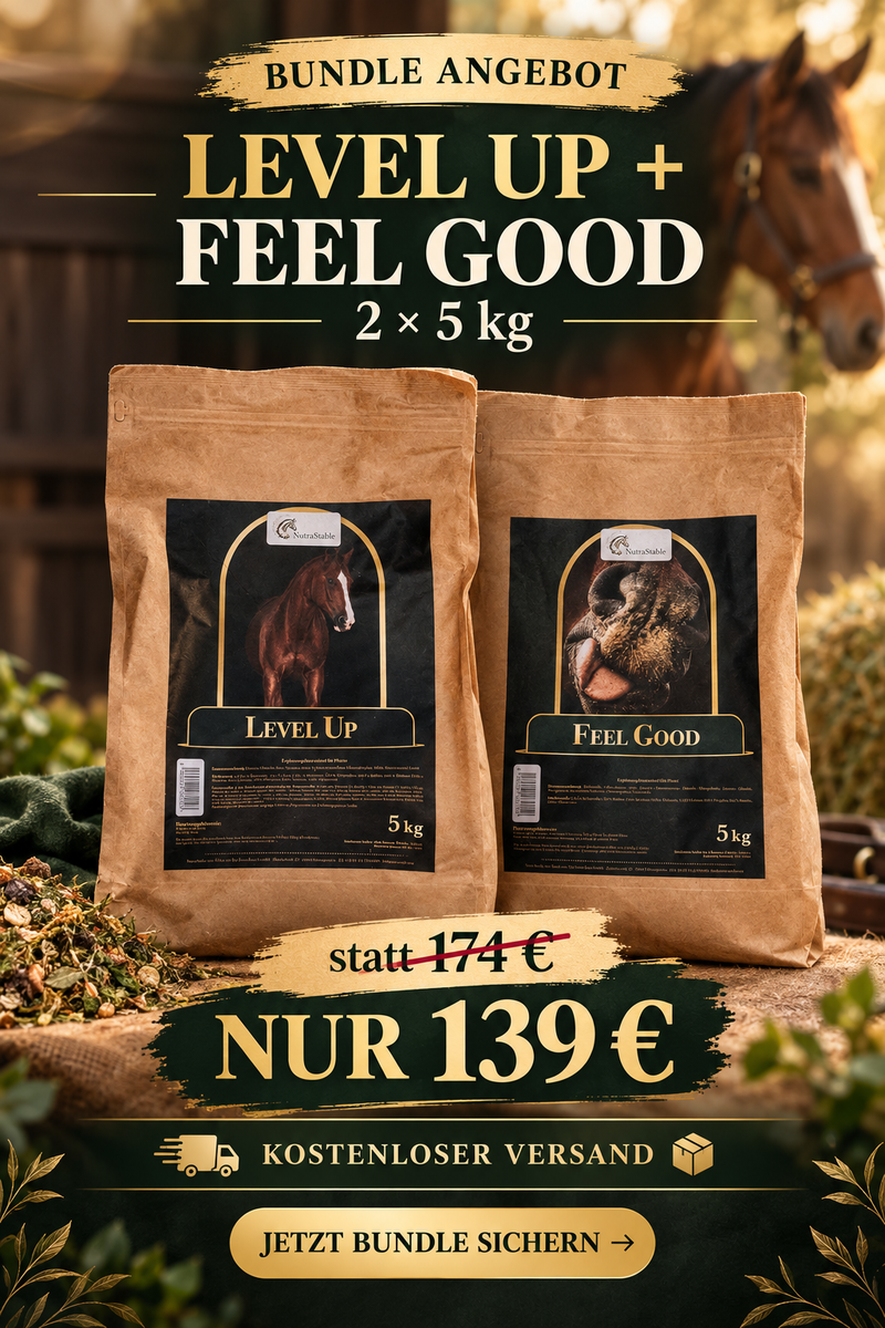 Sparbundle Paket #1 (Level Up + Feel Good)
